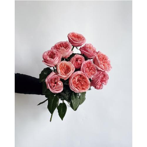 Пионовидные розы «Pink Expression» 11 шт. 9213