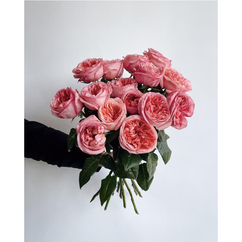 Пионовидные розы «Pink Expression» 15 шт. 9195