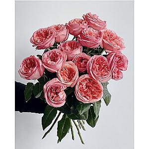 Пионовидные розы «Pink Expression» 15 шт. 9195