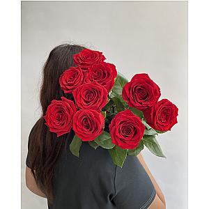Роза красная «Undercover» 9 шт. 9976