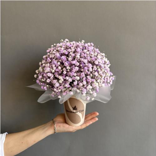 Композиция из цветной гипсофилы 8290
