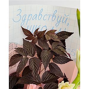 Букет из гладиолусов «Большое начало»